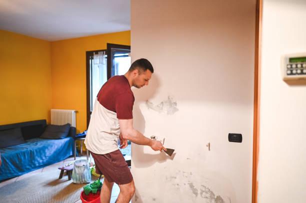 Best Mold Remediation for Schools in Newport, NC